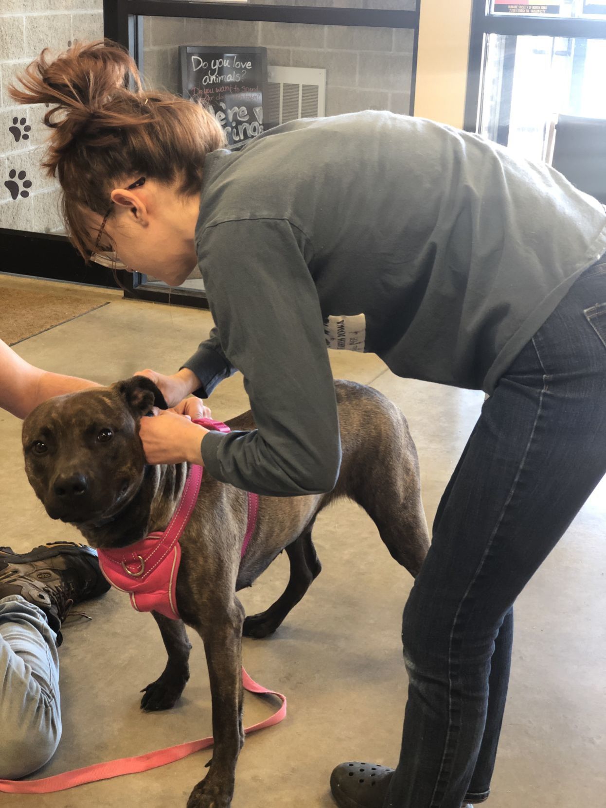 Humane Society